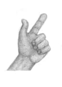 glifo